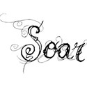 soar