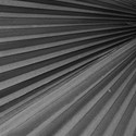monochrome fronds emb