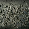 tracks
