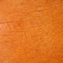 background (293)