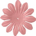 flowerpink2