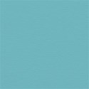 Background Paper 03