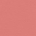 Background Paper 01