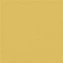 Background Paper 05