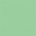 Background Paper 08