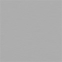 Background Paper 10
