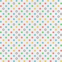 Background Paper 13