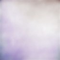 wisteria dreams_paper mist