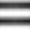 paperwhiteblack