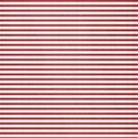 paperwhitered