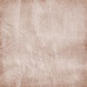 lisaminor_springcuties_paper_p