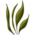 ll