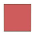 frame_d