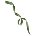 Sweet Sister_ribbon-green 1