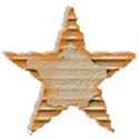 jennyL_cool_star2