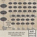 Baby Month Hangers