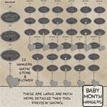 Baby Month Hangers Baby Month Hangers
