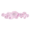 rose transparent group