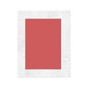frame old white mesh