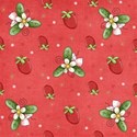 armina_strawberry_pp4