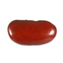 kidney bean