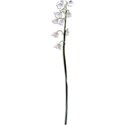 Flower 04