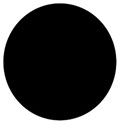 black circle