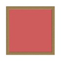 frame-e