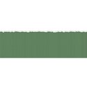 papertornsolidgreen