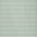 paperwhitegreen