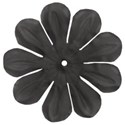 flowerblack