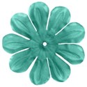 flowerbtteal