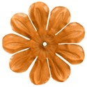 flowerorange