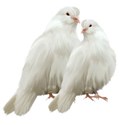 dovey lovey