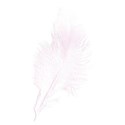 feather