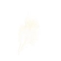 feather yellow tint