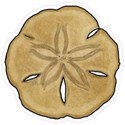 SandDollar