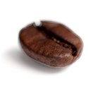 Coffee_bean