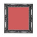 Frame 1