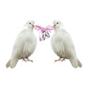 doves rings silver