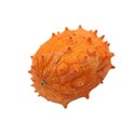 kiwano (1)