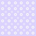 background19