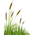 grass (1)