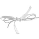 ribbon white 03