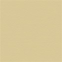 paper cream 09