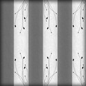 BG12
