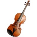 violin