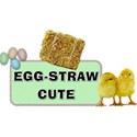 Easter Word Art #1- 02