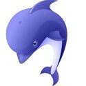 Dolphin 2