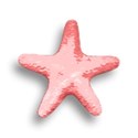 starfish 3